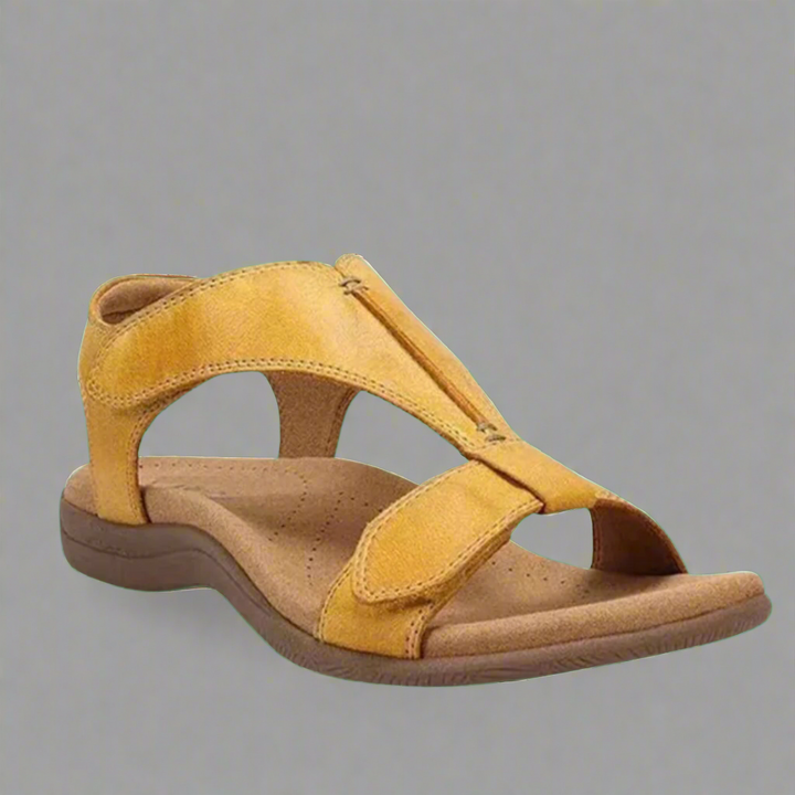 Solevia | Clean and Modern