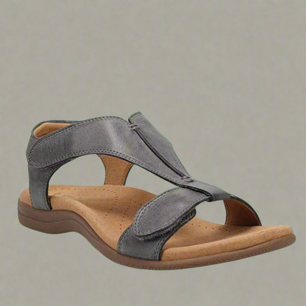 Solevia | Clean and Modern
