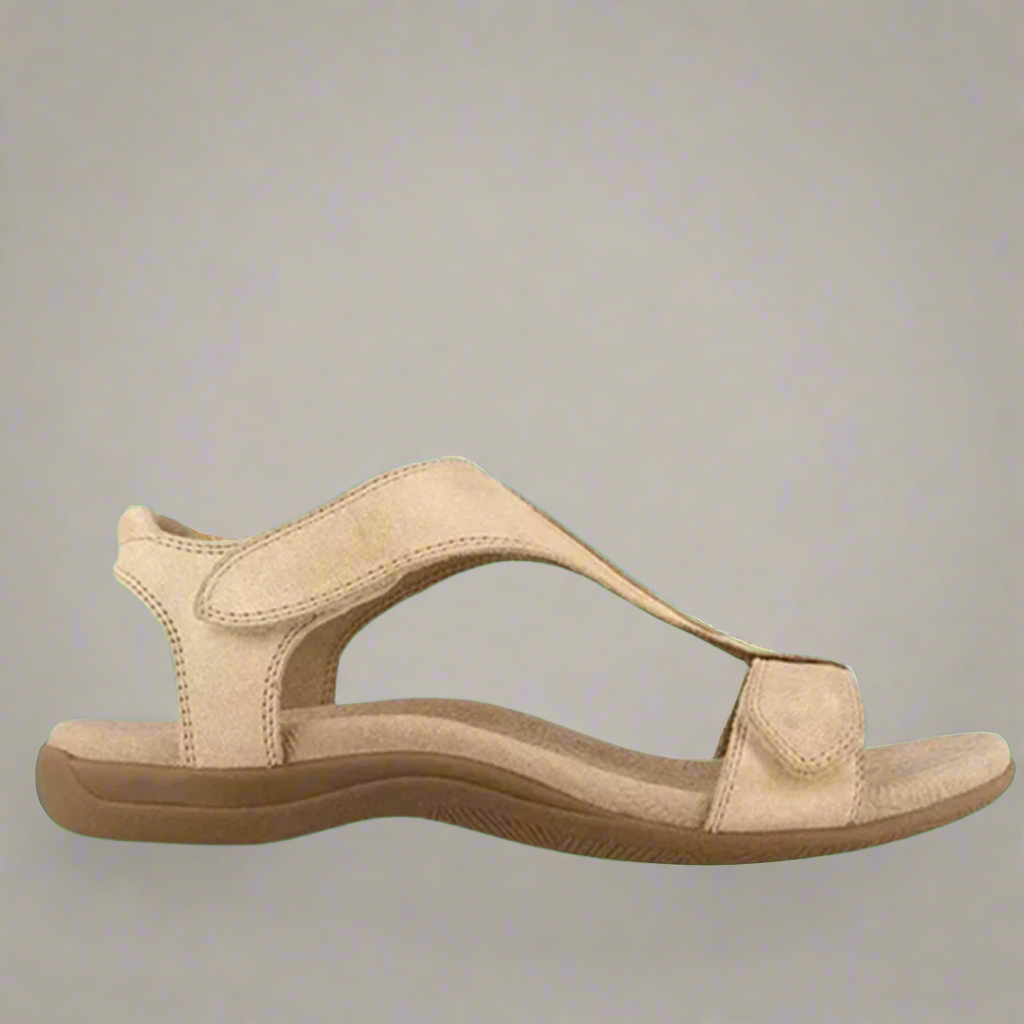 Solevia | Clean and Modern