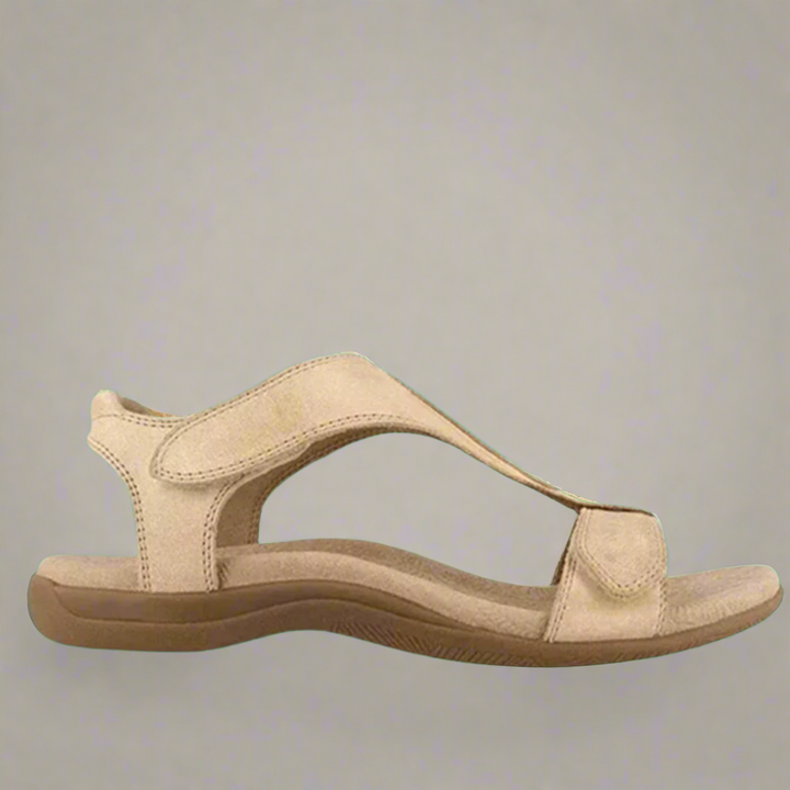 Solevia | Clean and Modern