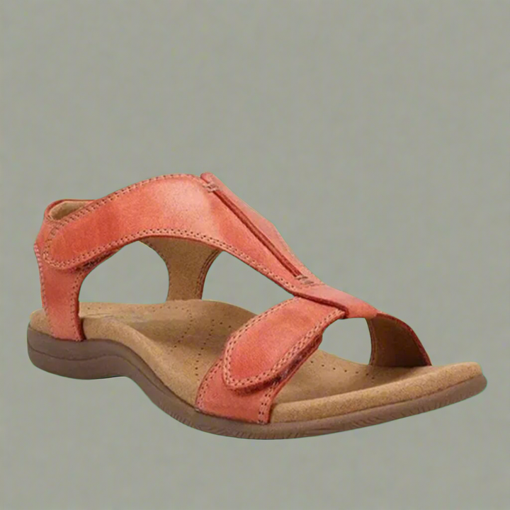 Solevia | Clean and Modern