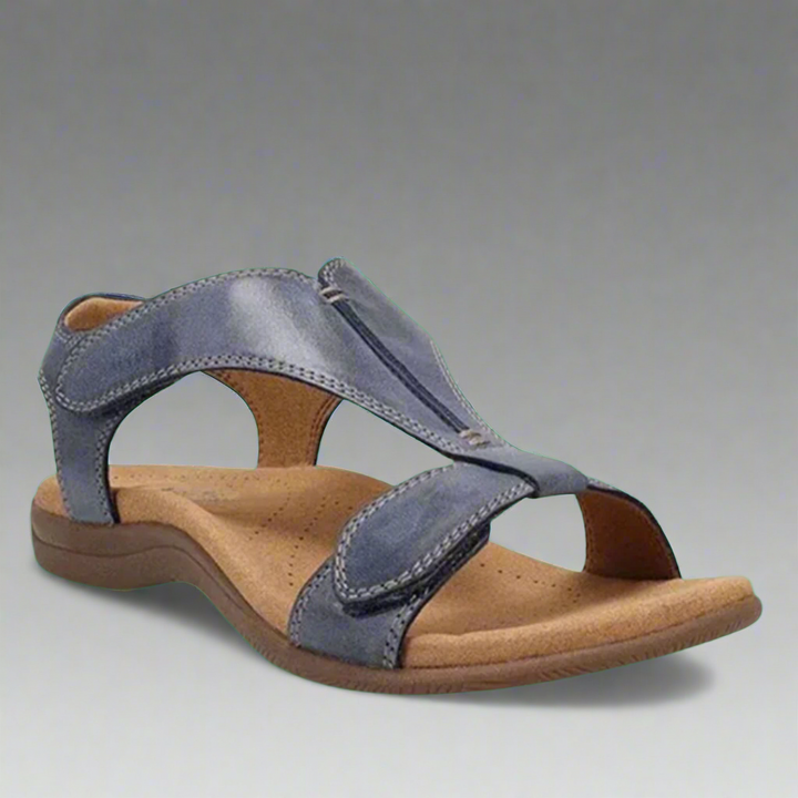 Solevia | Clean and Modern