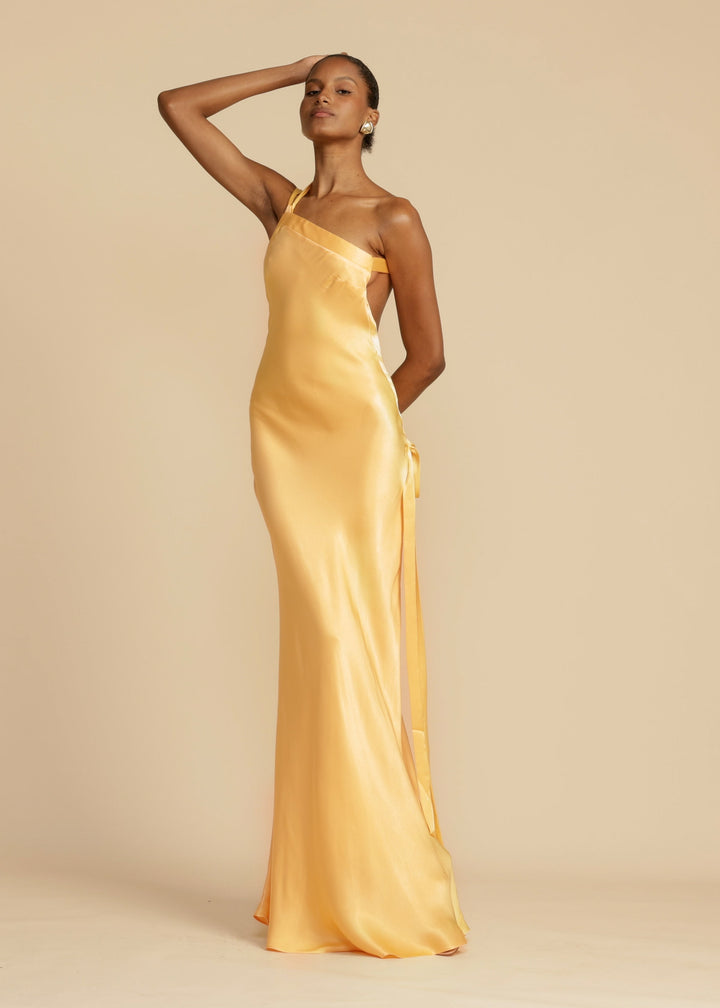 Celeste  - Long Dress