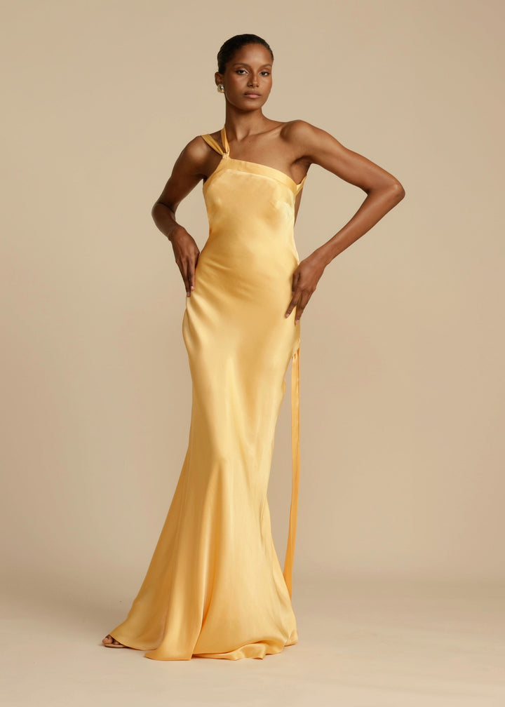 Celeste  - Long Dress