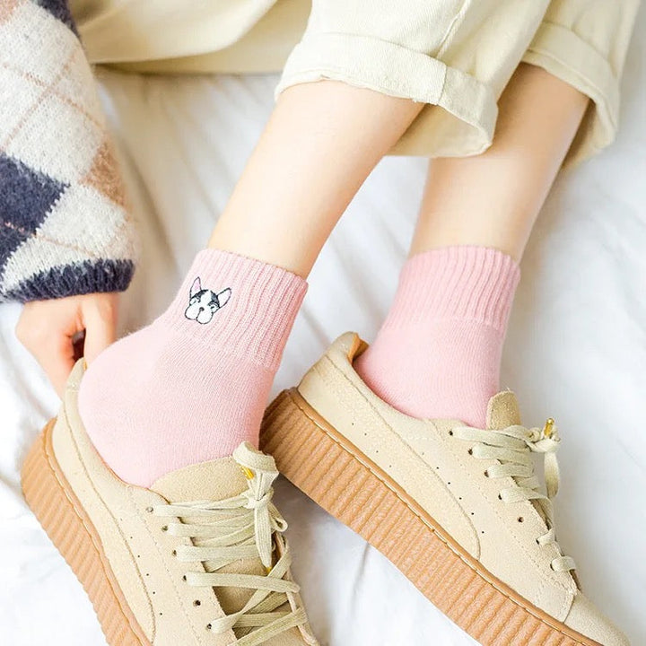 Frenchie Standard 5-pack Color Mix