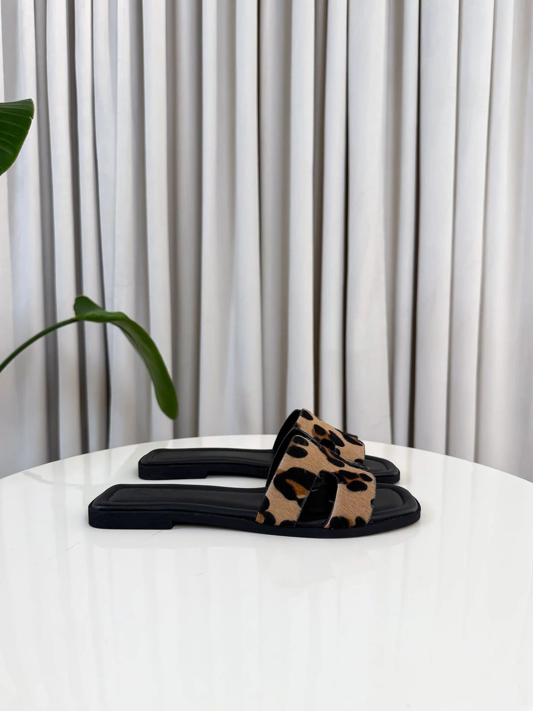 Aria | Elegant Edition
