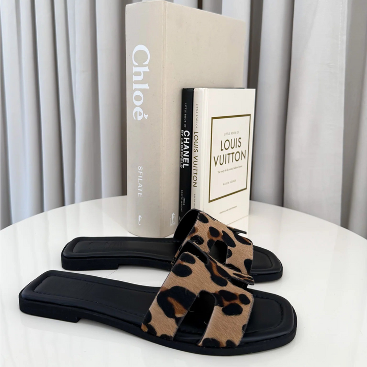 Aria | Elegant Edition